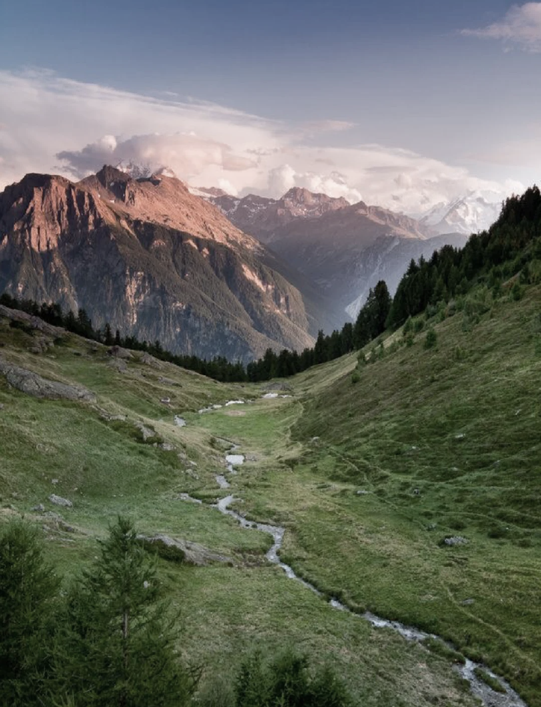 关于高山徒步环线赛，探索最壮丽的自然风光的信息