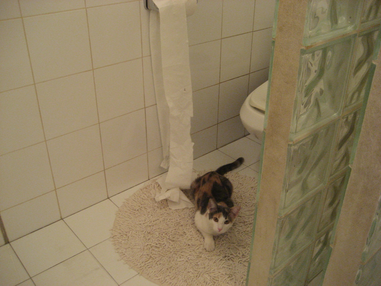 爱游戏app下载-AI裁判加入电竞比赛，开启“黑科技”革新新时代，lol电竞裁判工作内容