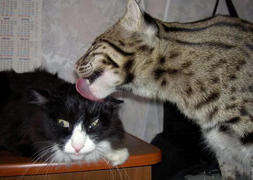 _全民炫舞:舞动青春健康时代_,全民炫舞什么时候下架