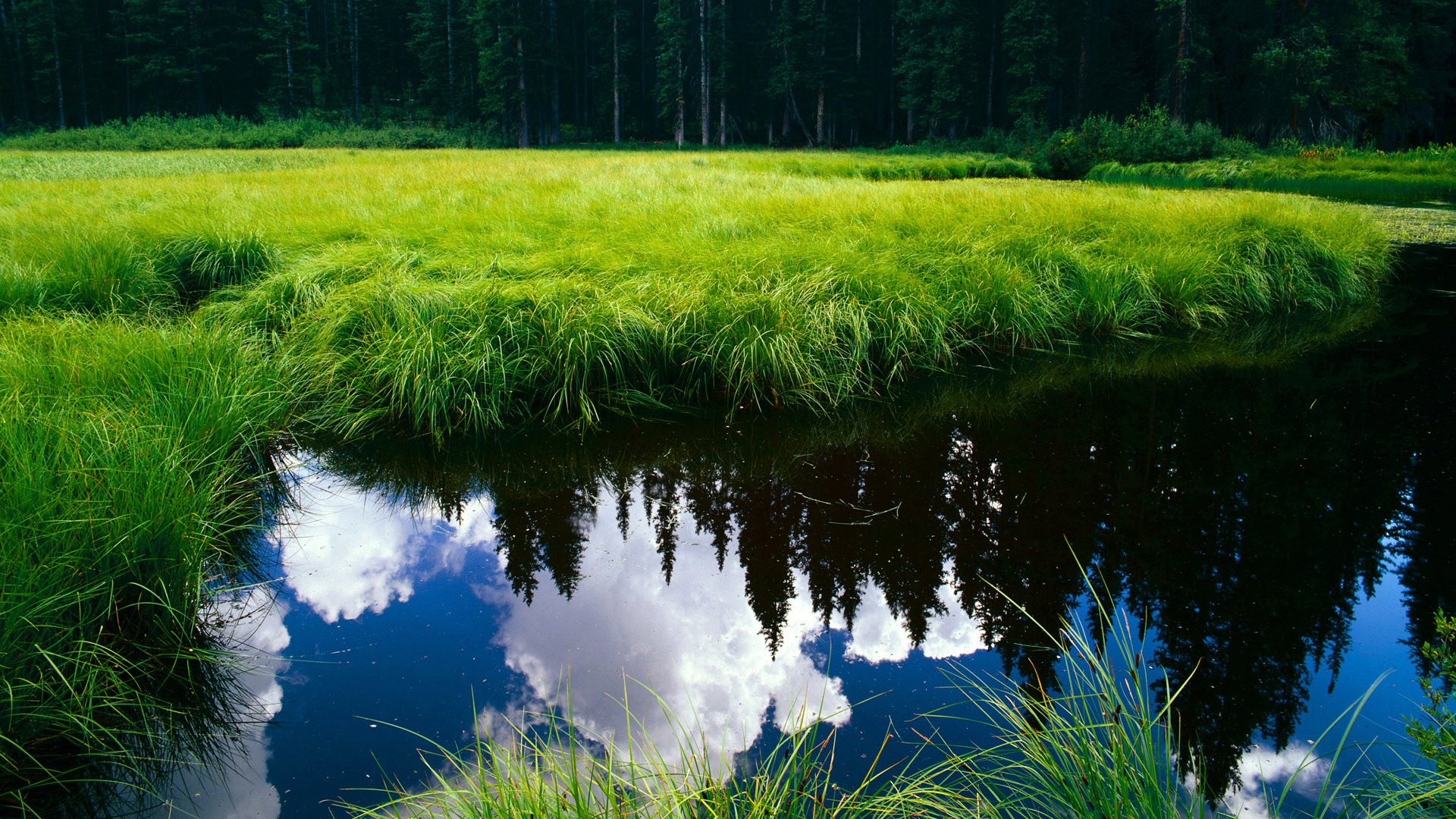 _全民登山挑战:攀登自然的最高峰_,山峰攀登难度排行