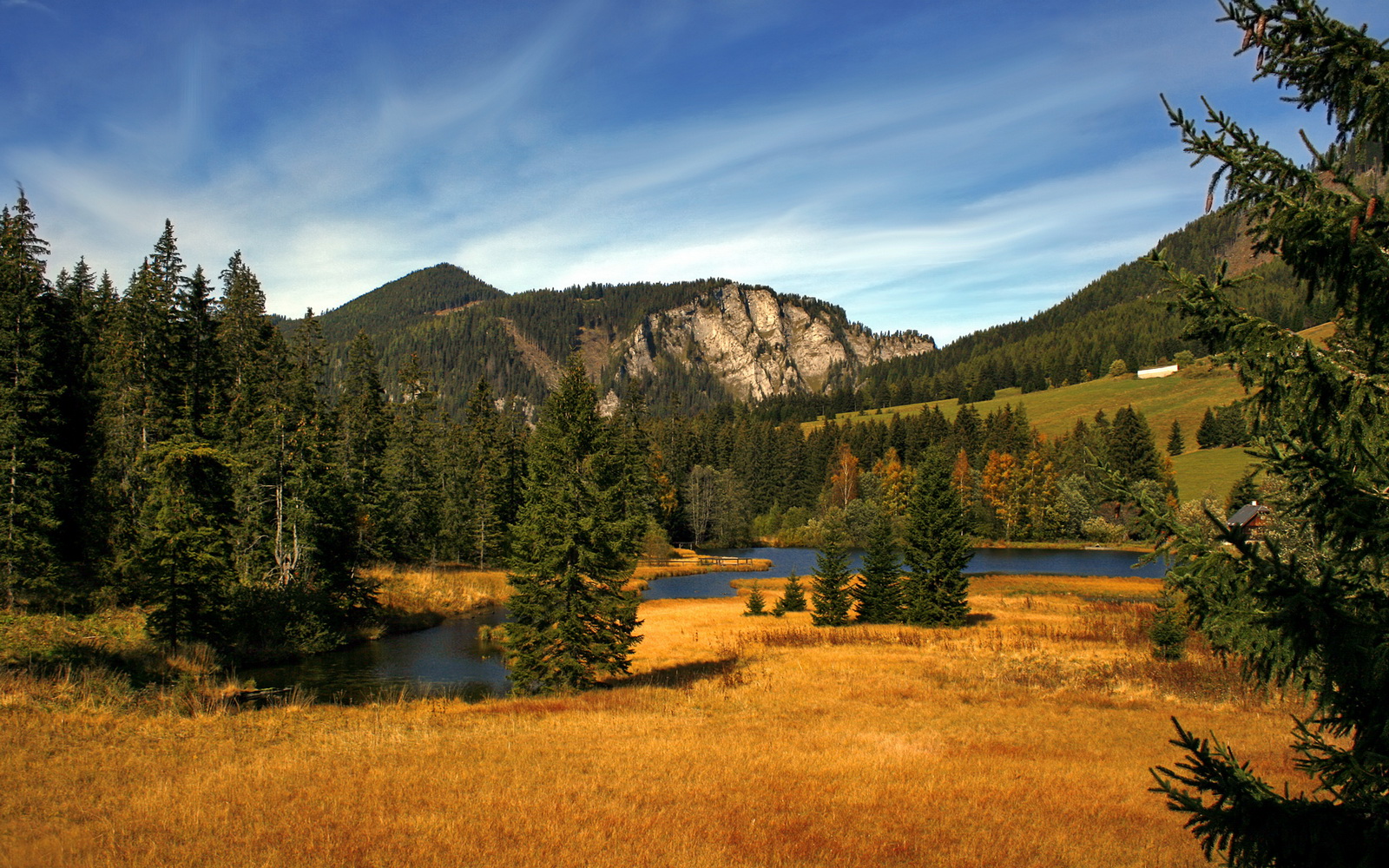 “四川足球爆发:青训成果逐步显现”,四川足球青训现状