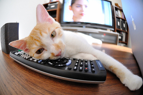 “团队无敌:幕后英雄的坚韧守护”,团队竞技的无敌点