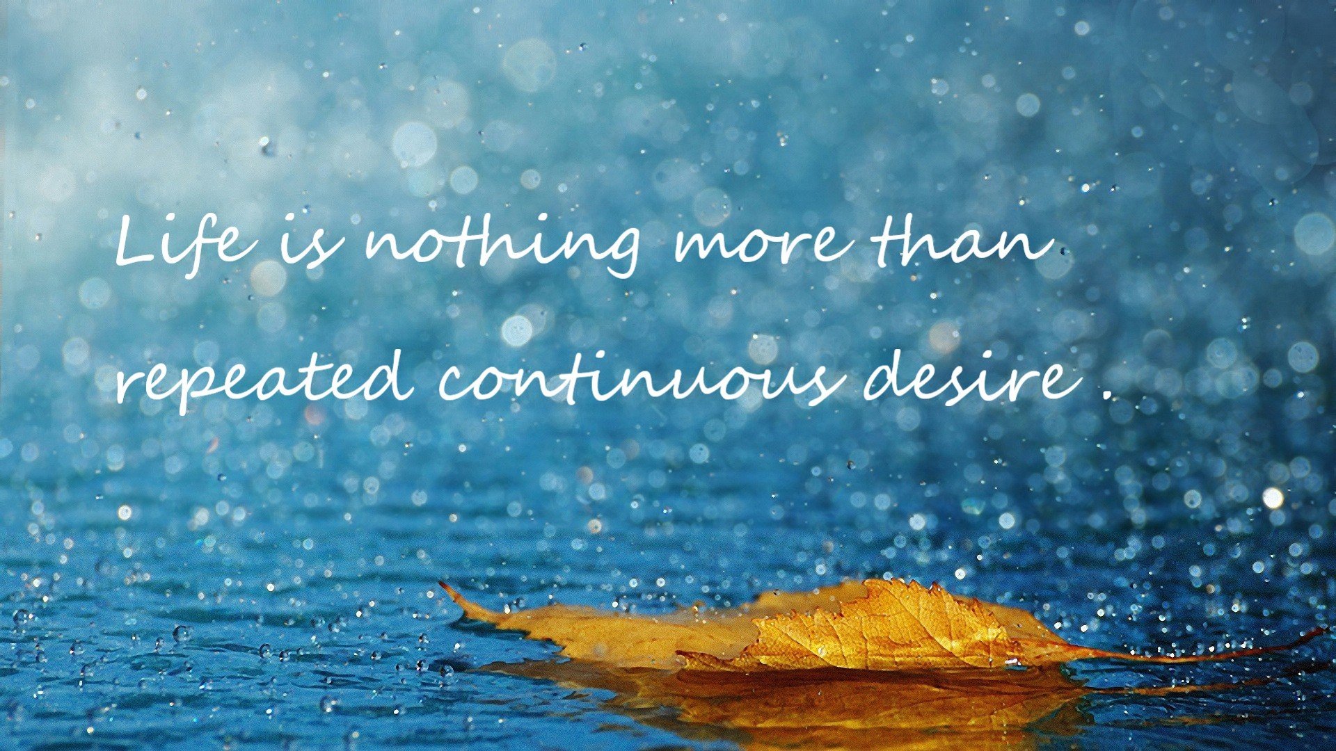 “德甲争冠势头强劲,领头羊全力以赴”,德甲争四