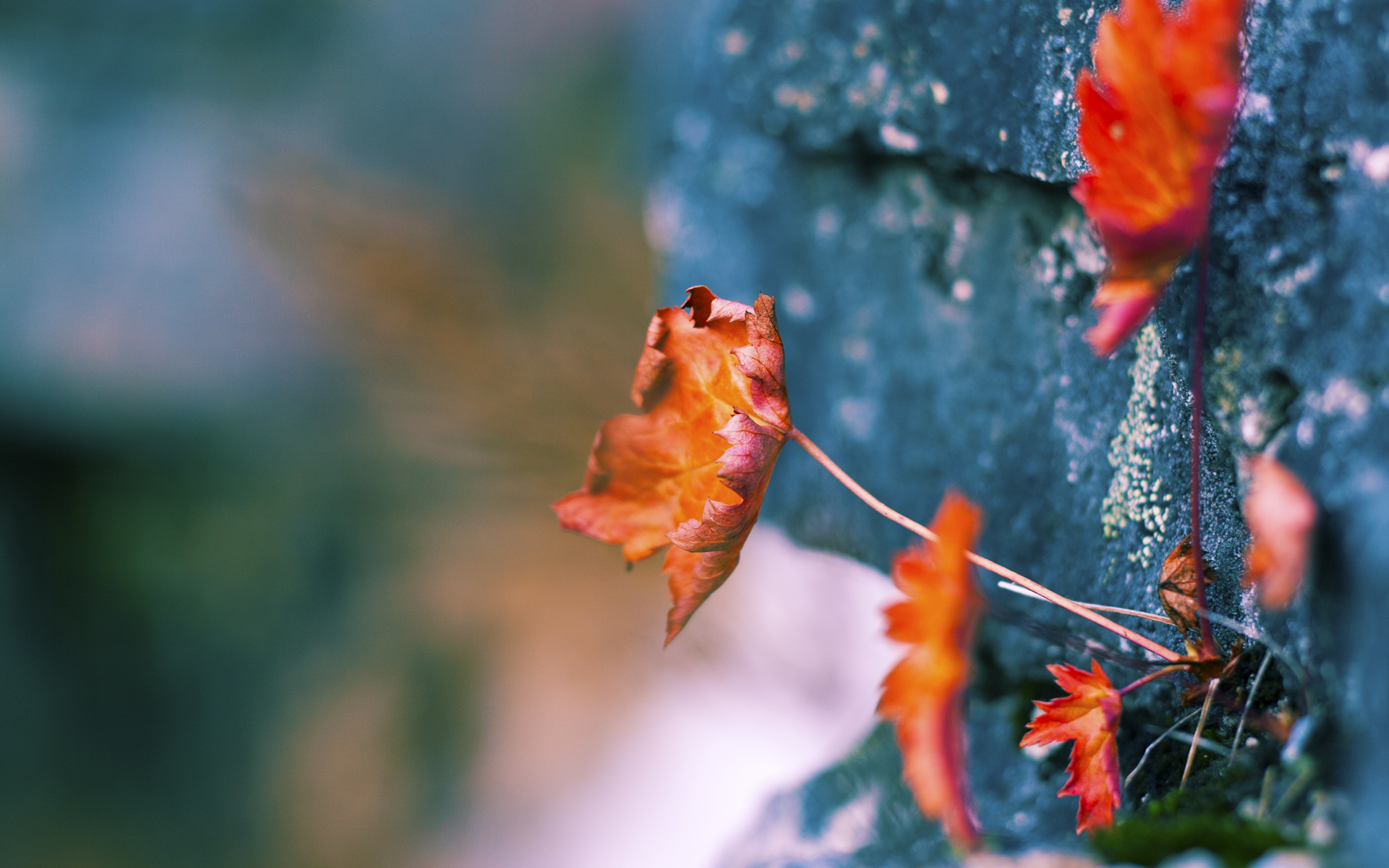 【训练心得】避免犯规的实战技巧指导,如何避免违反规则