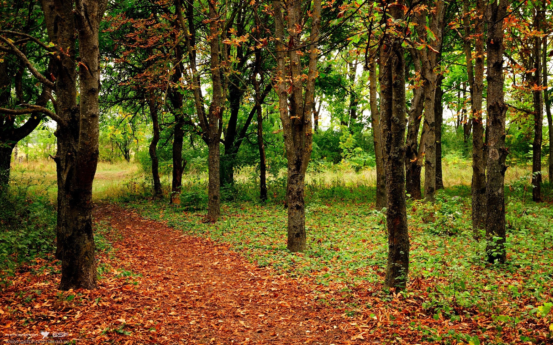 爱游戏中国官方网站平台-球场奇兵：战术调整带来的巨大变化，球场攻略