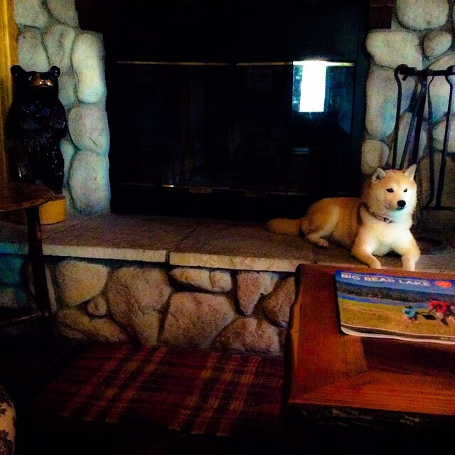 爱游戏官方-克罗地亚队在国际赛场上杀出重围，赢得关注，克罗地亚队最新大名单