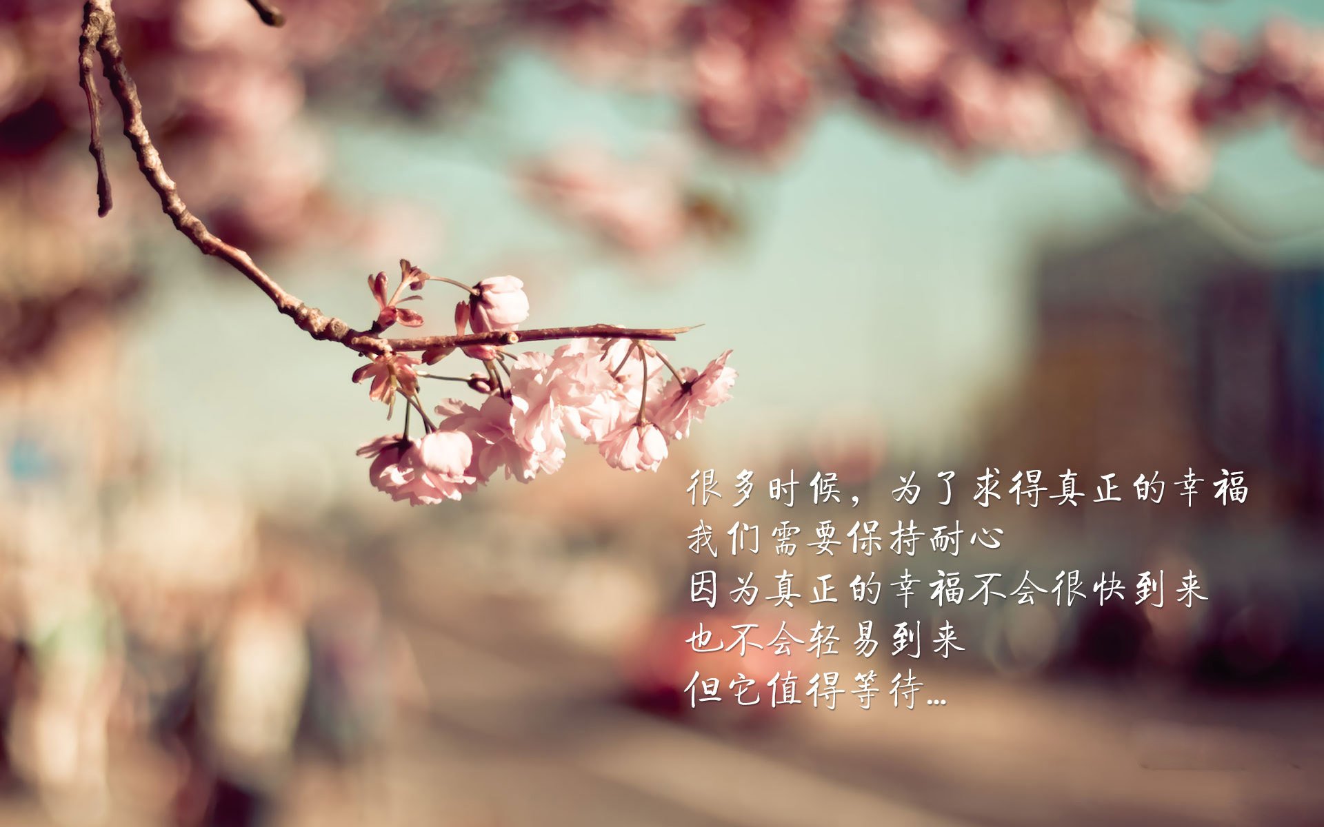 尤文图斯遭遇曼城逆转,惨失欧冠四强,尤文曼联欧冠