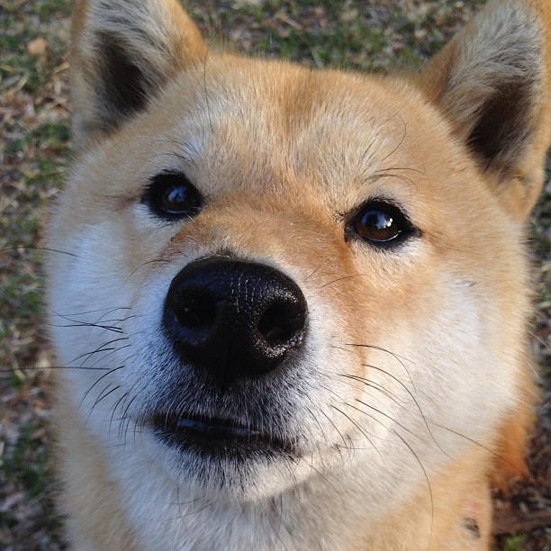 爱游戏中国官方登录入口网站-托桑·埃夫布奥姆万在NBA常规赛中砍下22分，埃托奥与布冯相视一笑