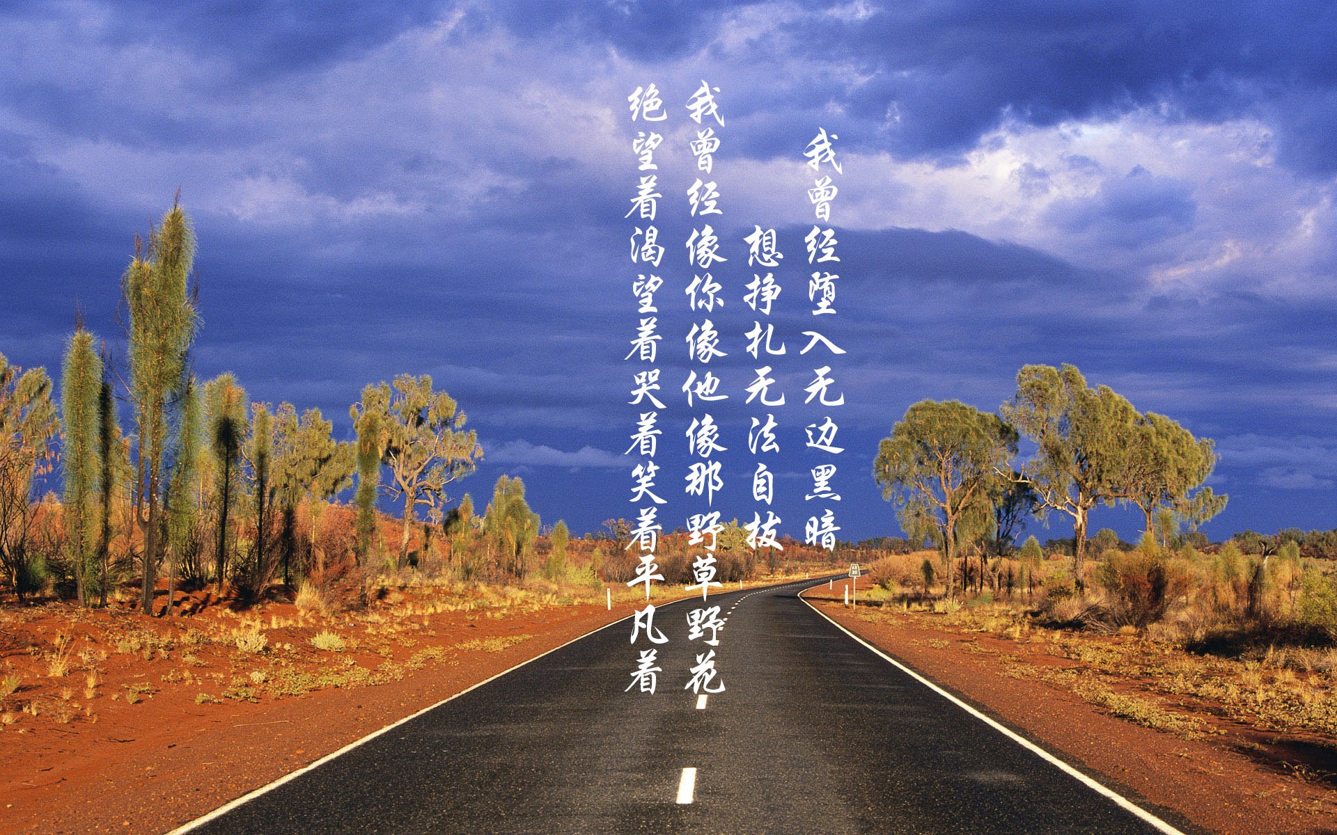 法国马术队在巴黎奥运会三项赛团体决赛中获得银牌，展现出色表现。