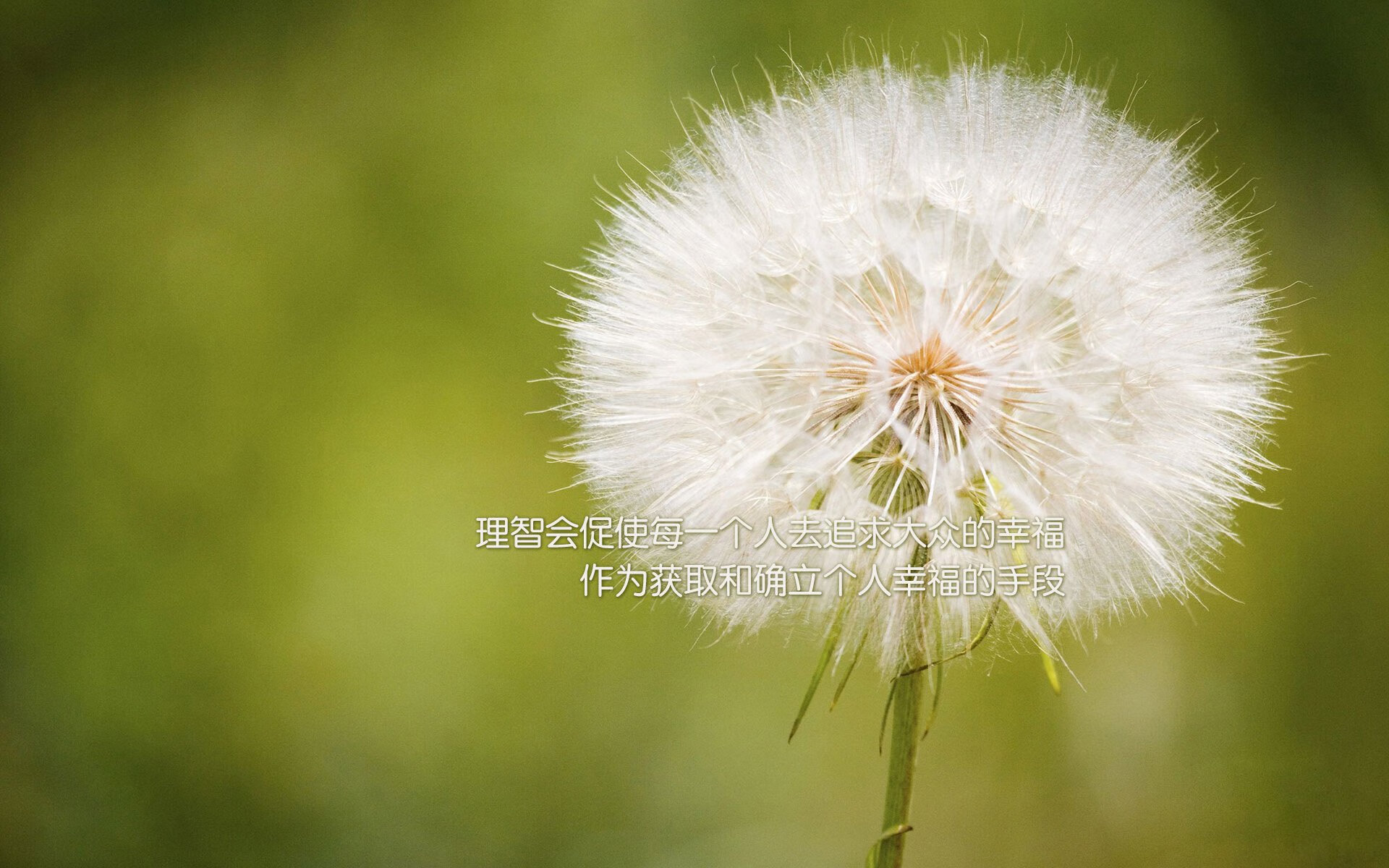 职业篮球俱乐部资金运作分析，篮球俱乐部经营