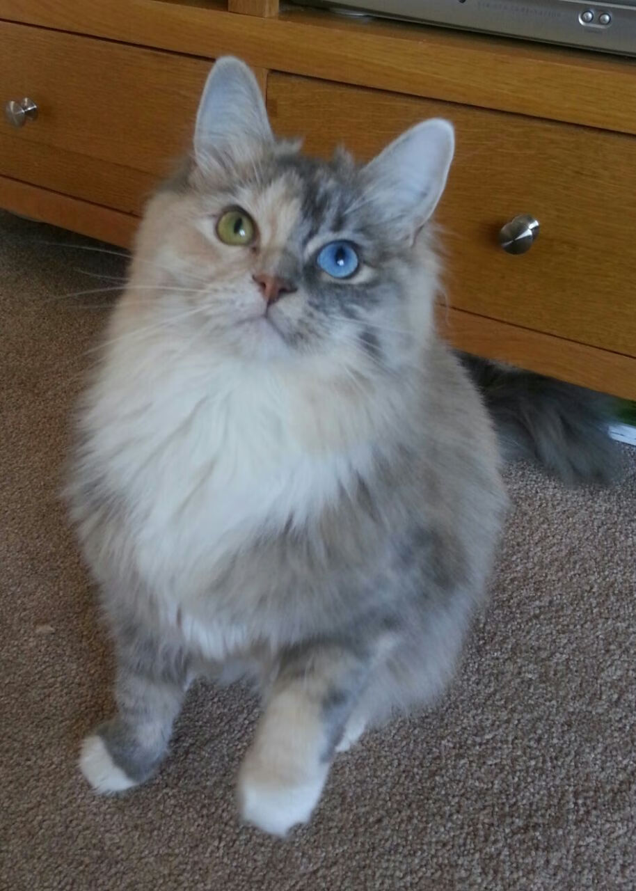 职业篮球市场品牌推广技巧,篮球营销