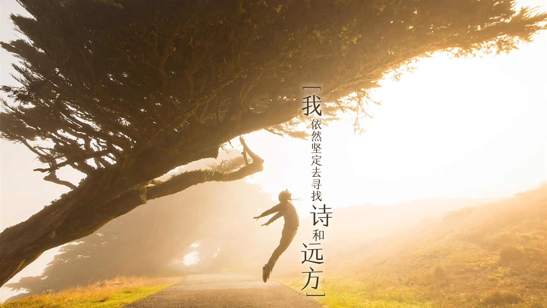 AYXSPORTSAPP-NBA联盟裁判判罚公正性研究与改进措施，nba裁判权利