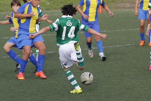 爱游戏官方-中国足球外援依赖度趋势分析，中国足球外援依赖度趋势分析图