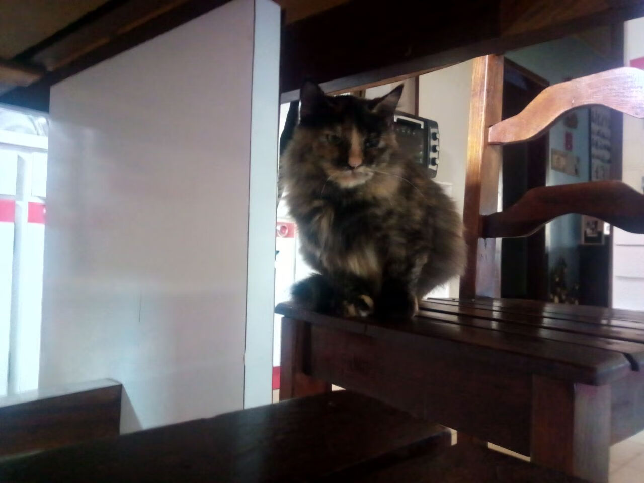 爱游戏官网-意甲球队基于心率变异性优化训练计划，心率变异性在训练中的应用