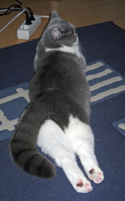 爱游戏体育app-西甲VAR系统语义分析提高裁判判罚一致性研究，var裁判是什么意思