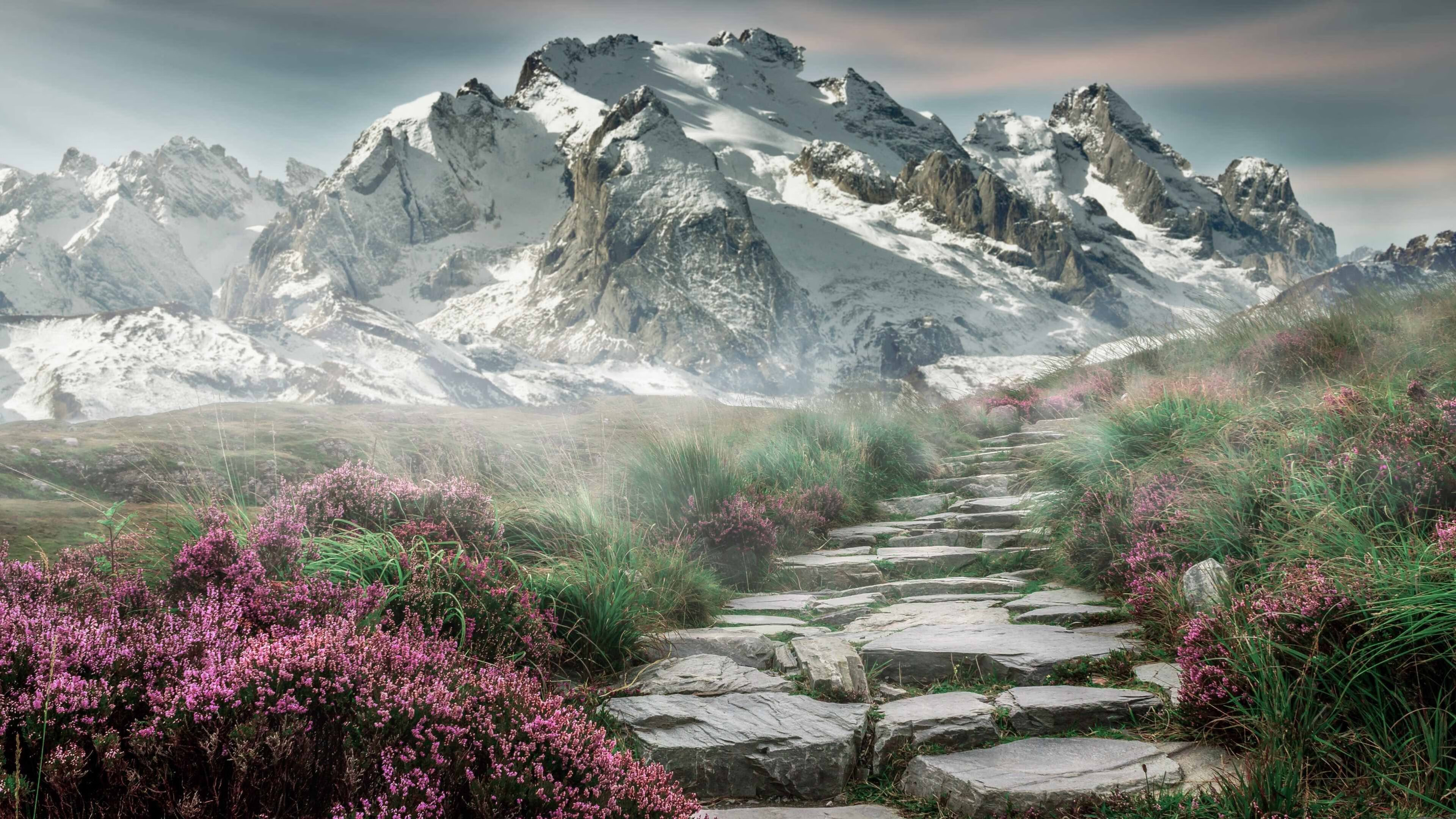 “速度与耐力的对决,SHO-CHAN Run 2025将在香港点燃激情”