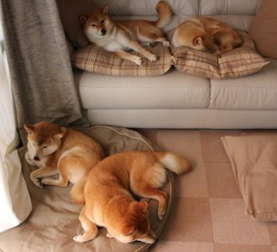 中国女篮保持良好战术执行力,中国女篮表现