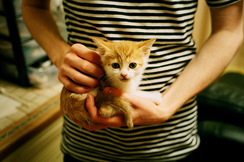 南特稳定阵容配置确保比赛强度,南特(等)