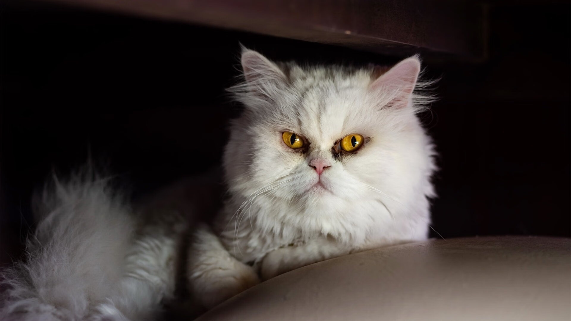 山东男篮战术打法逐渐成熟季后赛希望重燃,山东男篮官方发布